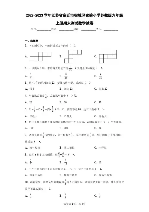 2022-2023学年江苏省宿迁市宿城区实验小学苏教版六年级上册期末测试数学试卷(含答案解析)