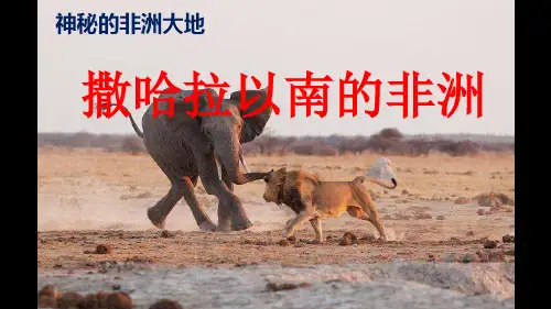 区域地理-撒哈拉以南的非洲 (共51张PPT)