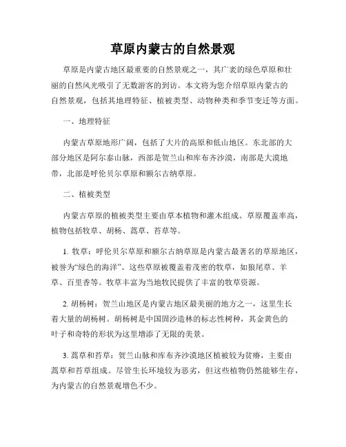 草原内蒙古的自然景观