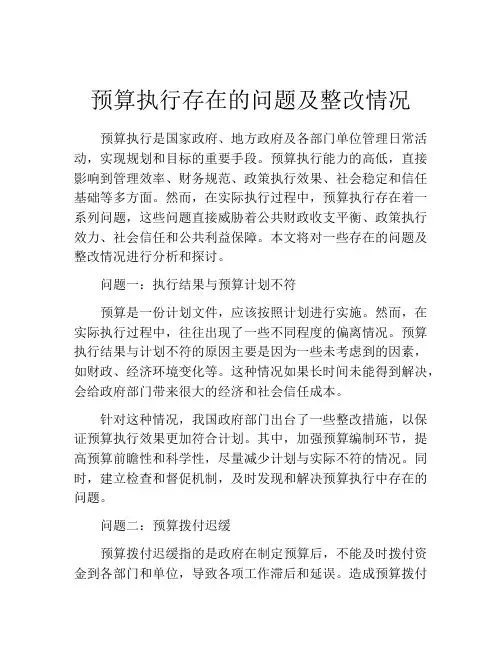 预算执行存在的问题及整改情况