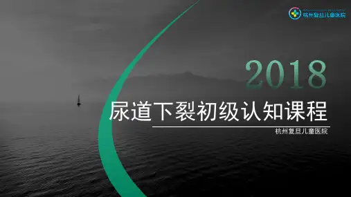 尿道下裂初级认知课程 ppt课件