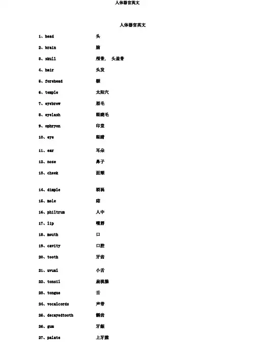 人体器官英文