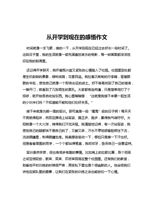 从开学到现在的感悟作文