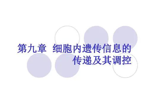 第九章  细胞内遗传信息的传递及其调控