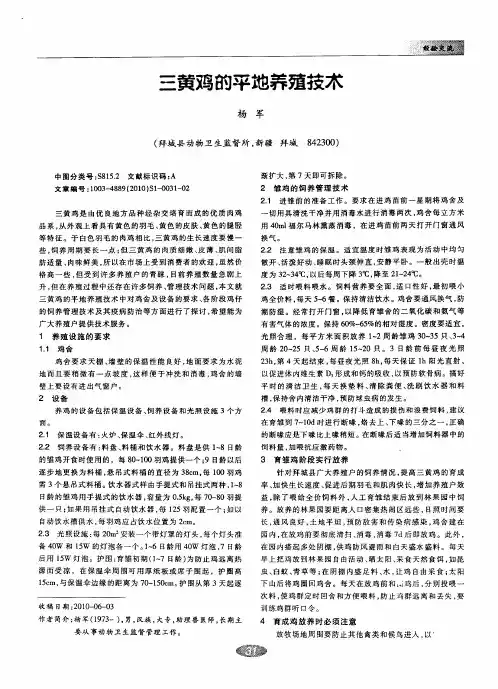 三黄鸡的平地养殖技术