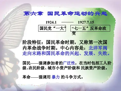 国民革命运动的兴起ppt2 人教版