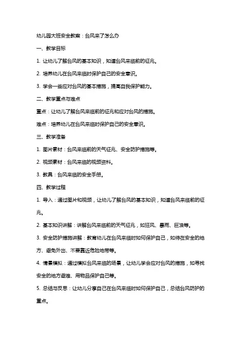 幼儿园大班安全教案：台风来了怎么办