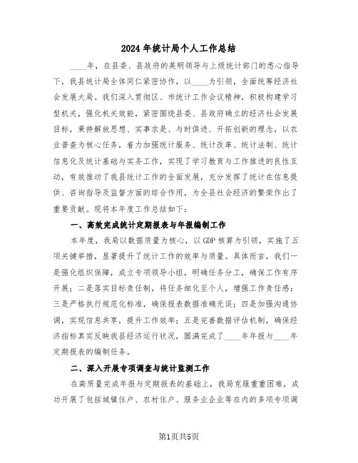 2024年统计局个人工作总结（2篇）