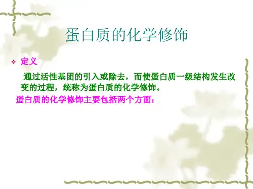 蛋白质的化学修饰