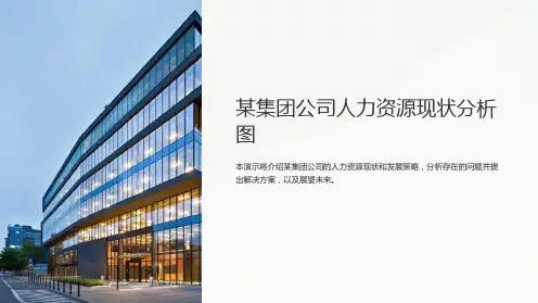 某集团公司人力资源现状分析图