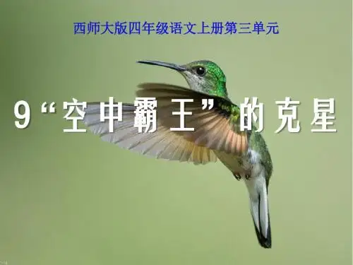 《“空中霸王”的克星》PPT课件3