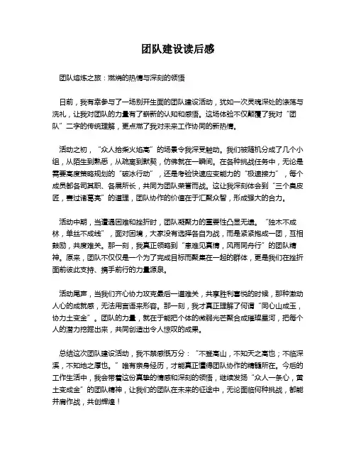 团队建设读后感