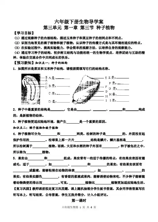 第三节 种子植物 导学案