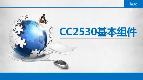 物联网通信ch2- 2530创建IAR和烧录程序