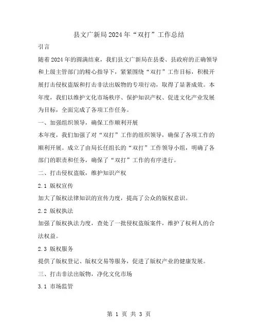 县文广新局2024年“双打”工作总结