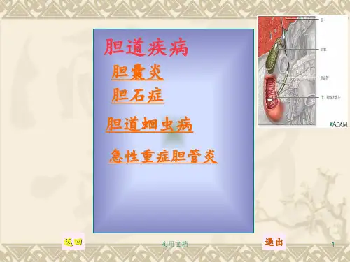 《急性重症胆管炎》