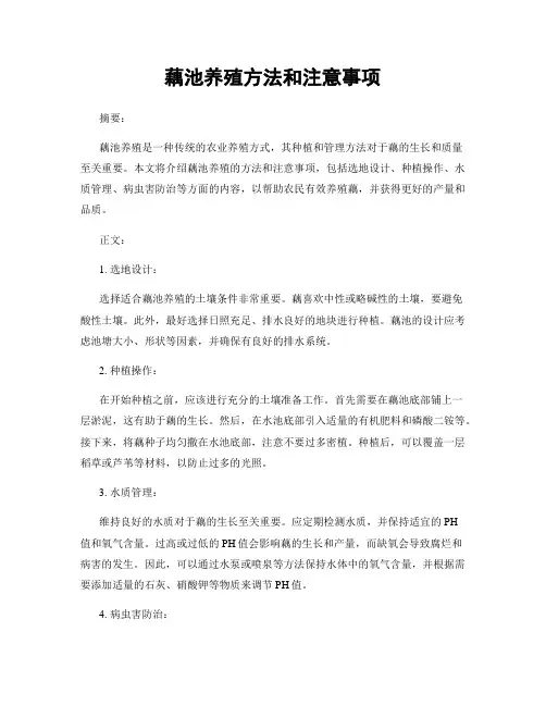 藕池养殖方法和注意事项