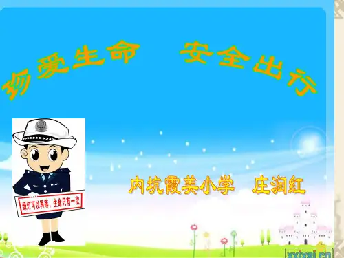 珍爱生命安全出行课件
