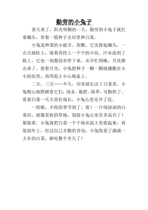 看图写话之勤劳的小兔子