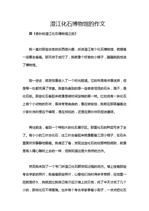 澄江化石博物馆的作文