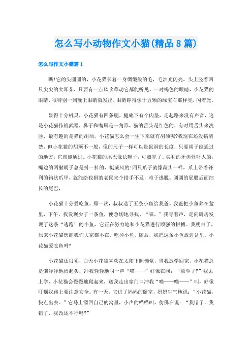 怎么写小动物作文小猫(精品8篇)