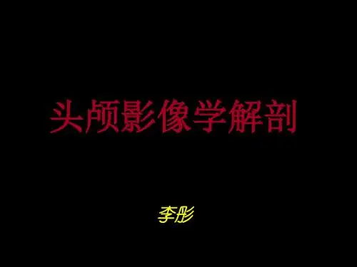头颅影像学解剖 (2)