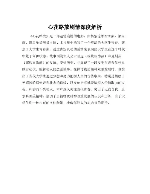 心花路放剧情深度解析