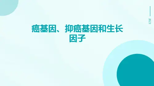 癌基因抑癌基因和生长因子