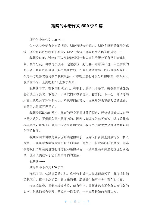 期盼的中考作文600字5篇