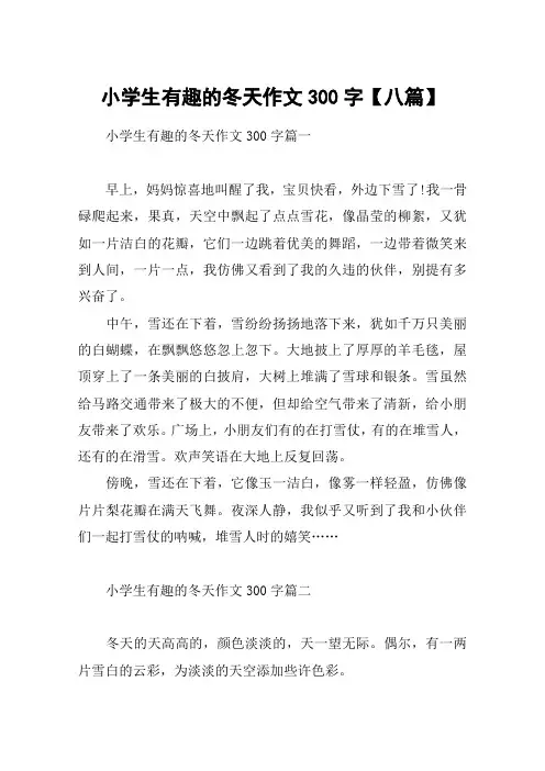 小学生有趣的冬天作文300字【八篇】