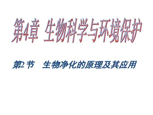生物净化的原理及应用