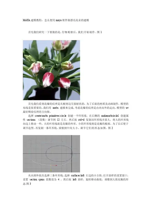 MAYA建模教程：怎么使用maya软件做漂亮花朵的建模[技巧]