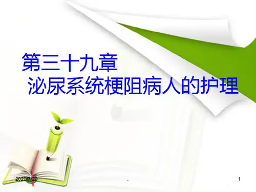 泌尿系统梗阻病人的护理PPT课件
