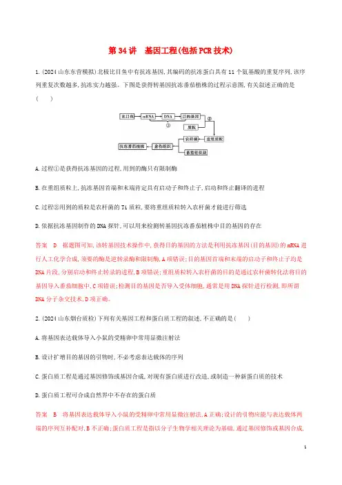 课标通用山东省2025版高考生物总复习第34讲基因工程包括PCR技术练习含解析