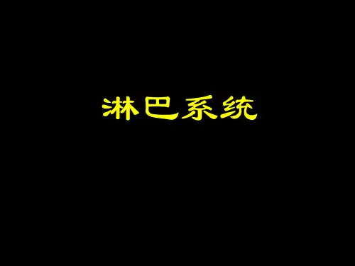 淋巴系统PPT课件