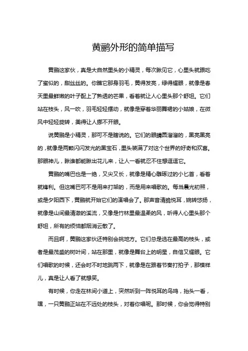 黄鹂外形的简单描写