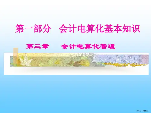会计电算化管理
