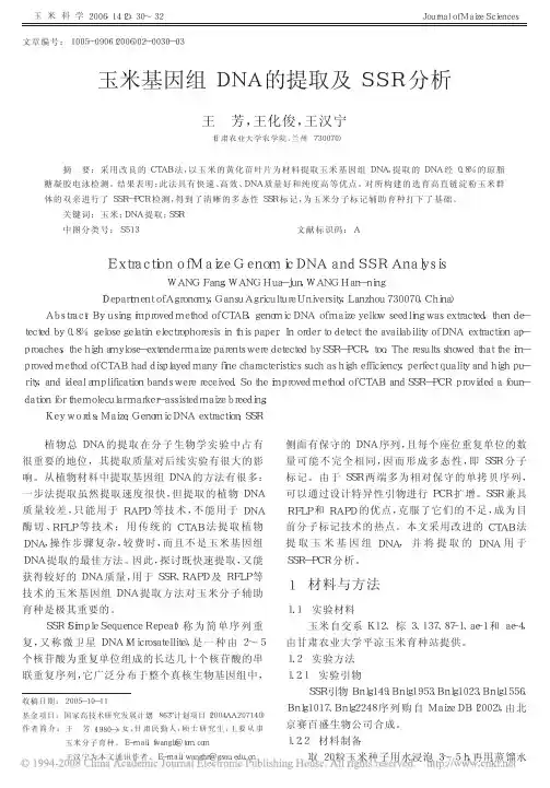 玉米基因组DNA的提取及SSR分析