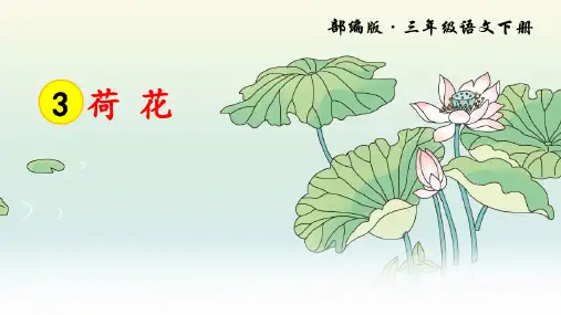部编版小学语文三年级下册第3课《荷花》精美课件