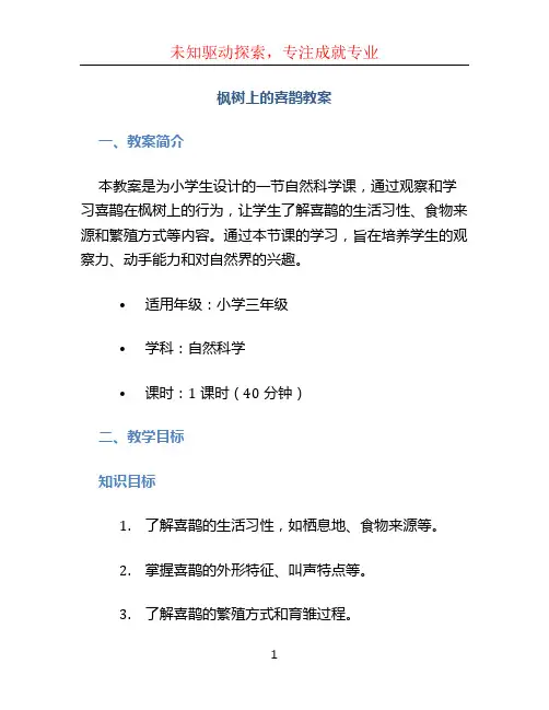 枫树上的喜鹊教案