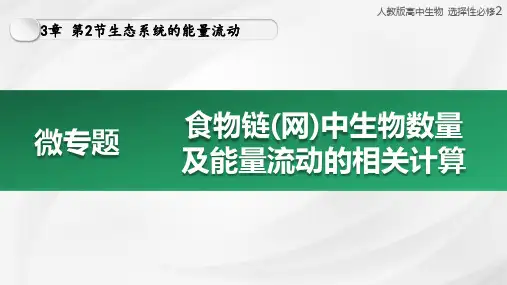 微专题食物链(网)中生物数量的变化及能量流动相关计算(第2课时)(共25张PPT)