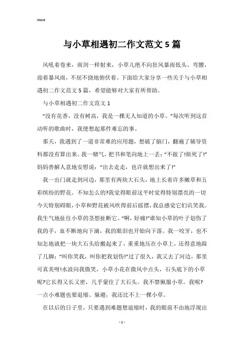 与小草相遇初二作文范文5篇