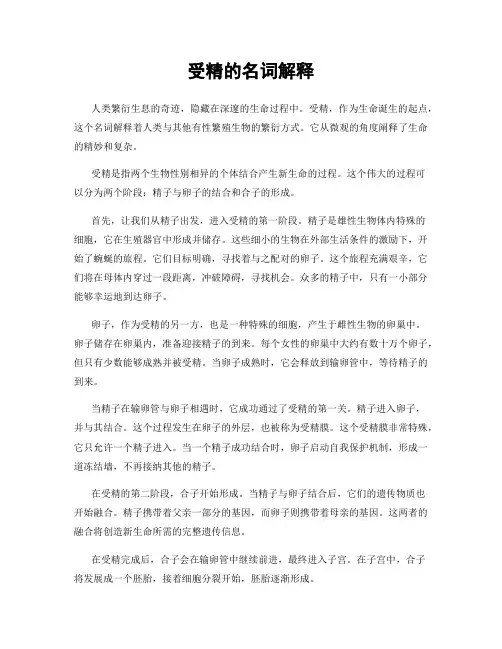 受精的名词解释
