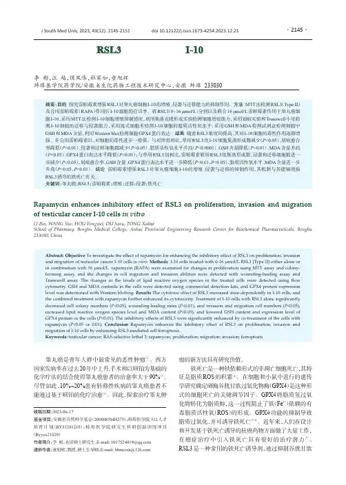 雷帕霉素增强RSL3对睾丸癌细胞I-10的增殖、侵袭与迁移的抑制作用