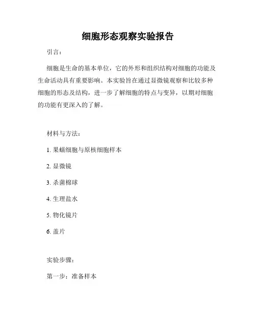 细胞形态观察实验报告