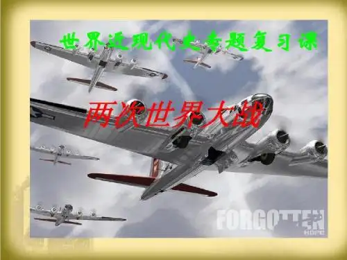 两次世界大战专题复习