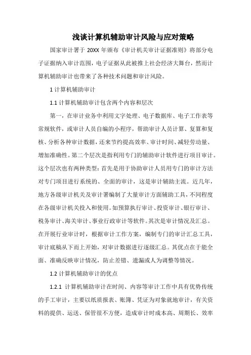 浅谈计算机辅助审计风险与应对策略