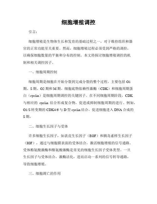 细胞增殖调控