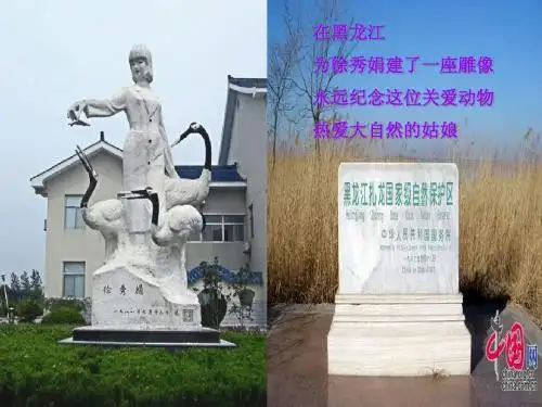 一个真实的故事初中音乐课件