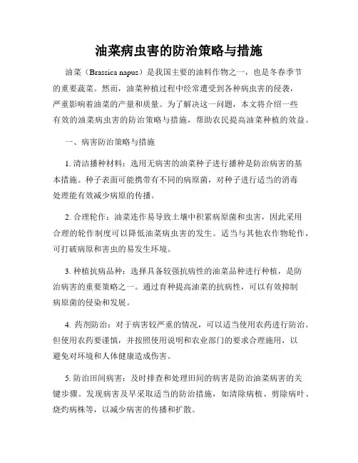 油菜病虫害的防治策略与措施